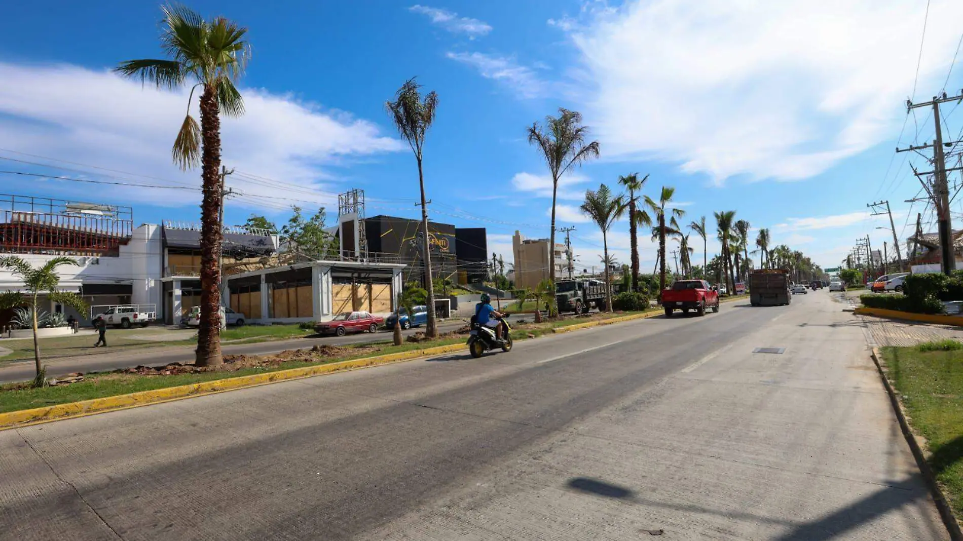 reforestacion acapulco2